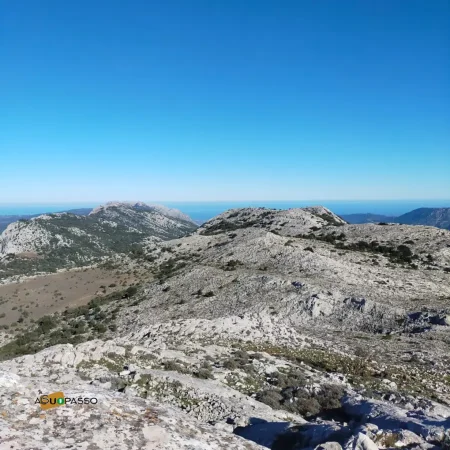escursione-monte-albo