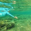 Snorkeling